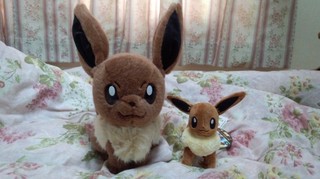 イーブイ等身大ぬいぐるみ+イーブイコレクション.jpg